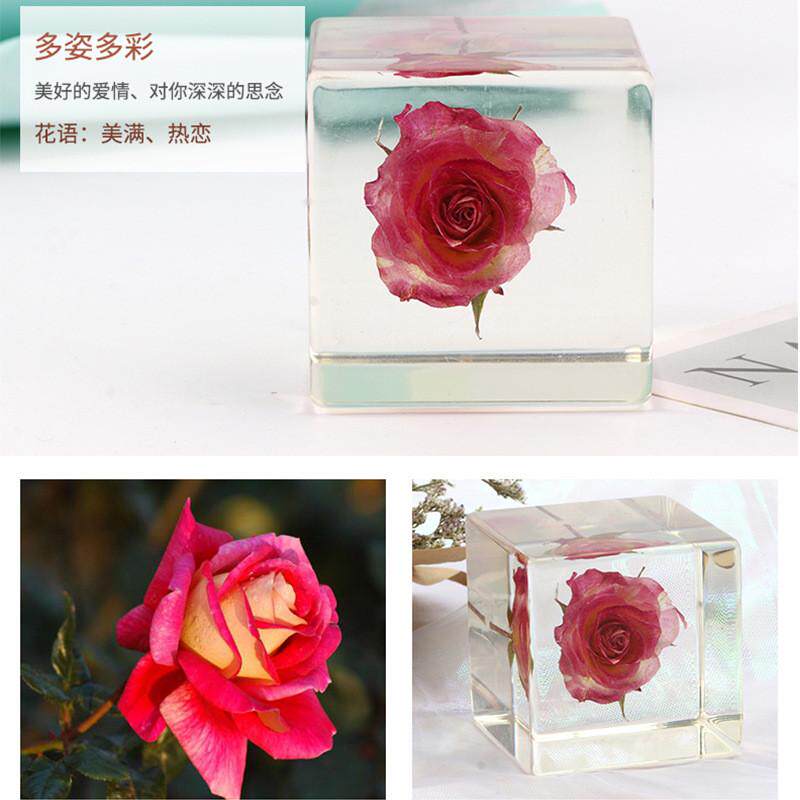 新款双色玫瑰花植物树脂水晶球创意节日礼品工艺品树脂小摆件