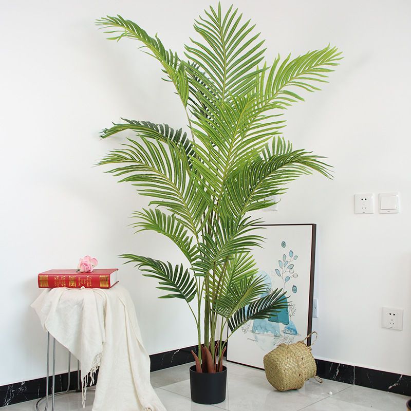 散尾葵旅人蕉大型植物北欧绿植盆栽摆件客厅装饰花落地花
