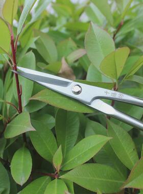 千也坊不锈钢215mm叶芽剪插花剪刀切枝园艺剪刀量大从优一件藤批