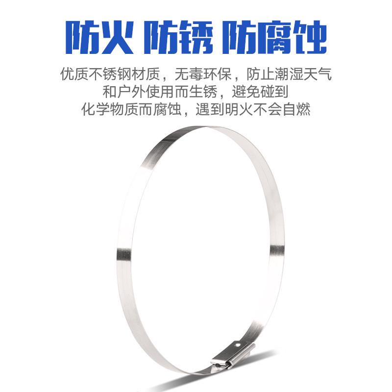 不锈钢扎带10*200自金属式锁锁扣船用不锈钢扎带标牌绑扎带