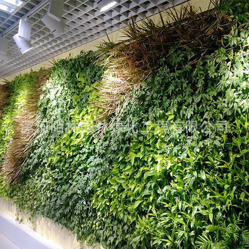 仿真植物墙绿植墙草坪墙面仿草皮塑料假草婚庆道具门头壁挂装饰
