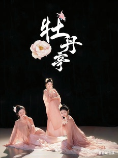 《牡丹亭》古典舞烫金长圆领汉风雪纺长款圆领开衫长袍长衫舞蹈服