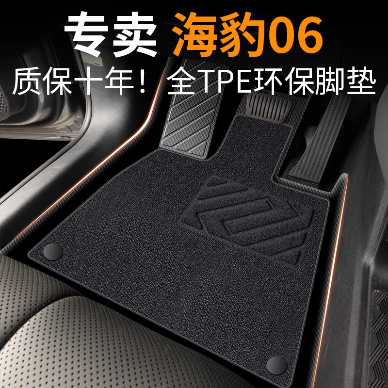 【30天免费试用】海豹06脚垫