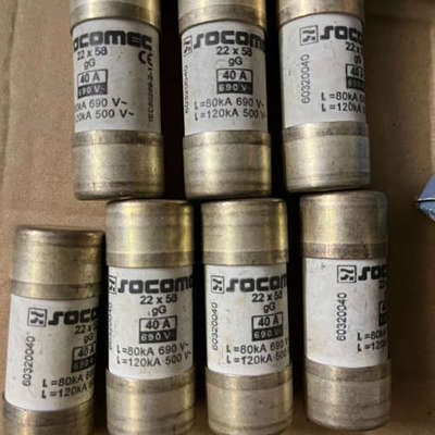 SOCOMEC朔高美熔断器保险体gG22*58