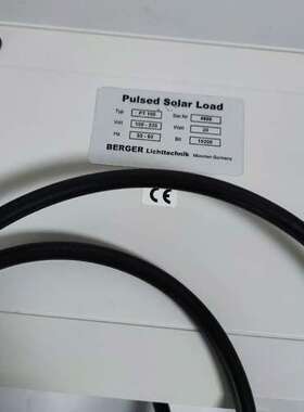 德国BERGER，PT100带探头GTF601