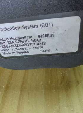 SKF电动执行器电动缸CARE33AX200X411010/