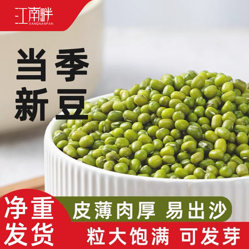 当季新货粒大饱满东北绿豆