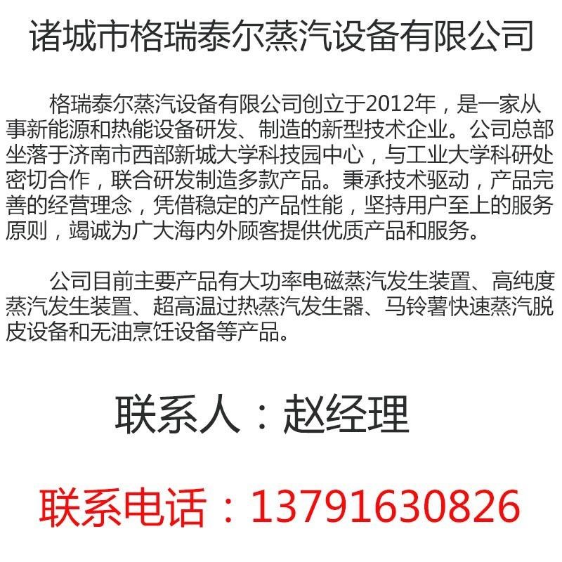 20-30KW 厂家直供 熨烫洗涤蒸汽锅炉 全自动多用电磁蒸汽锅炉