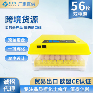 芦丁鸡孵化箱 56枚双电源滚轴迷你恒温孵化器 小型孵蛋器跨境外贸