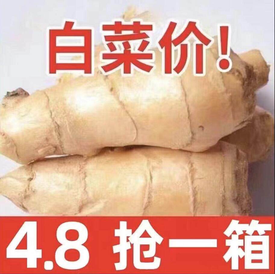 山东生姜新鲜老姜现挖小黄姜