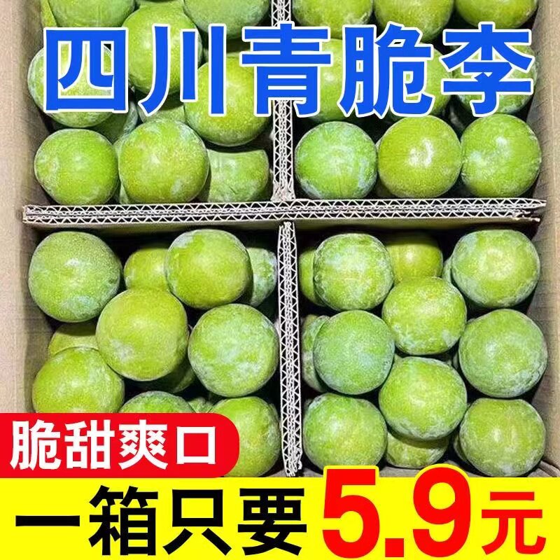 四川正宗脱骨李子5斤脆红李