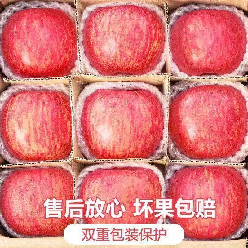 正宗陕西洛川红富士苹果9斤新鲜水果当季冰糖心一级脆甜整箱A,水产肉类/新鲜蔬果/熟食,苹果,淘宝优惠券,粉丝福利购,淘宝优惠卷
