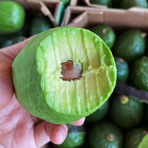云南新鲜现摘牛油果个新