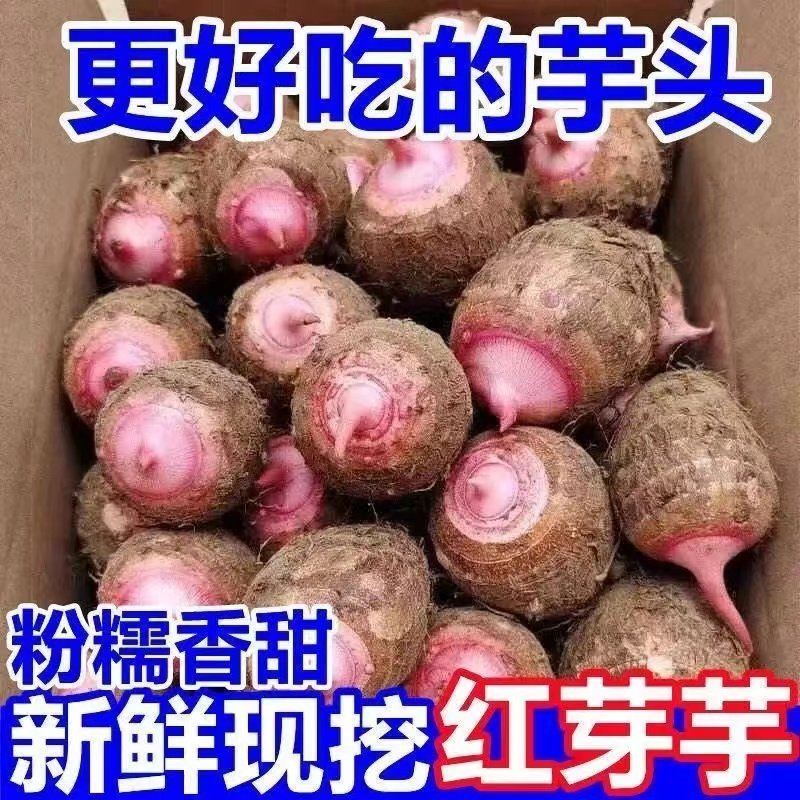 金华红芽芋头5斤新鲜仔现挖红嘴小毛芋头香芋艿软粘粉糯自种蔬菜