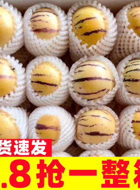 云南树上熟人参果10斤当应季