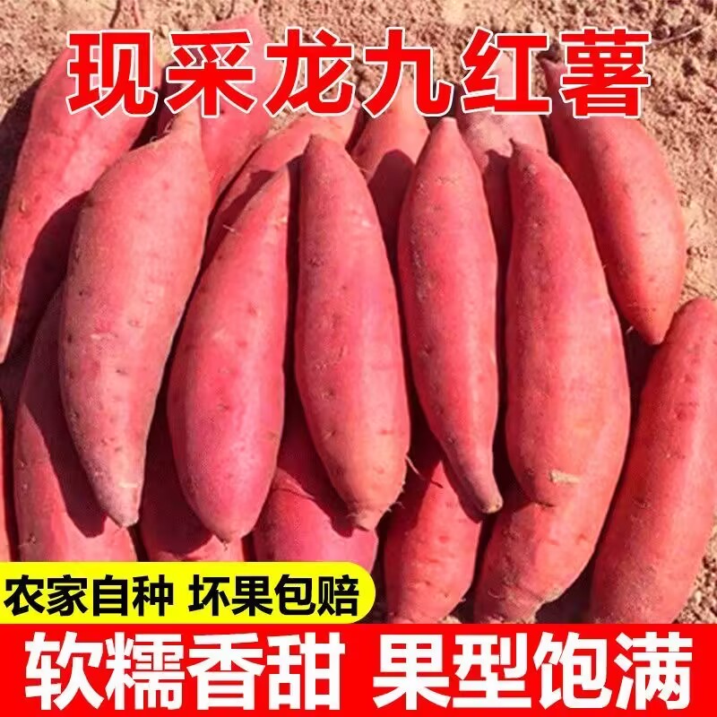 农家蜜薯烟薯25号糖心地瓜红薯
