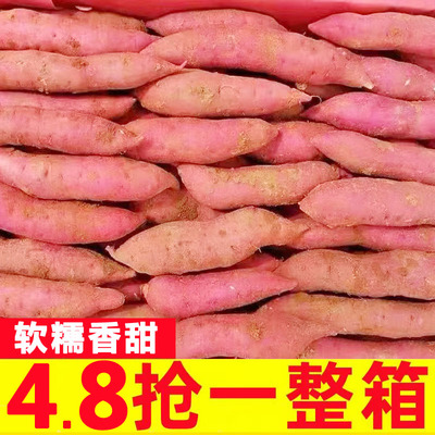 河南蜜薯10斤糖心红薯新鲜
