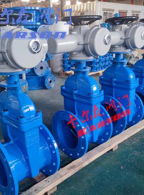 Z945X-10945X-1016Q球墨铸铁法兰污/水理大口处径 电动软密封闸Z