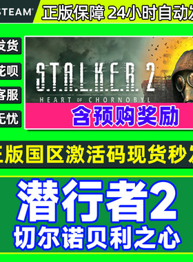 Steam 潜行者2 切尔诺贝利之心 国区激活码CDKEY 正版PC游戏