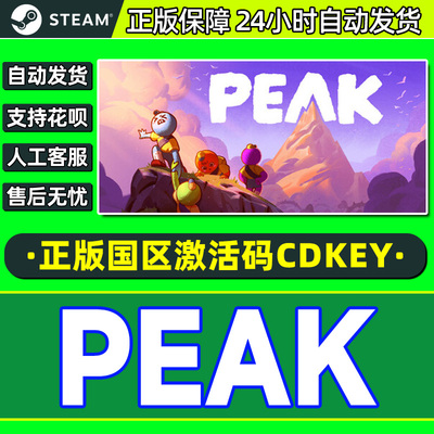 Steam PEAK 拉我一把 国区激活码CDKEY 正版PC游戏