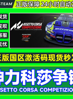 steam 神力科莎争锋 国区激活码 AssettoCorsa Competizione 正版