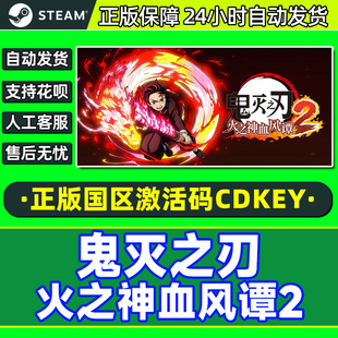 Steam 鬼灭之刃 火之神血风谭2 国区激活码CDKey PC正版中文游戏