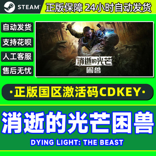 steam游戏 消逝的光芒困兽 消逝的光芒困兽 国区激活码CDK PC正版