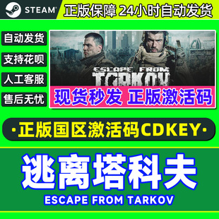 from Escape Tarkov 国区激活码 PC游戏 Steam CDKey 逃离塔科夫