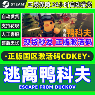 from Duckov 国区激活码 steam游戏 PC正版 Escape CDK 逃离鸭科夫