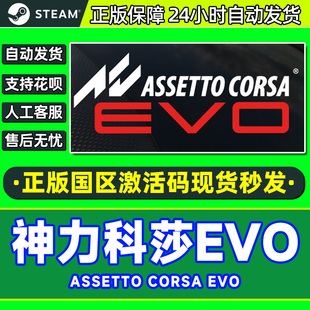 神力科莎EVO 神力科莎激活码 Assetto EVO CDKey Corsa Steam正版