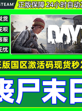 Steam 丧尸末日 dayz 僵尸末日 国区激活码CDKey PC中文正版游戏
