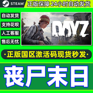 Steam 丧尸末日 dayz 僵尸末日 国区激活码CDKey PC中文正版游戏