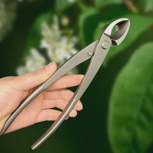 造园艺圆节树盆栽盆景瘤型口节修养护斜口钳剪钳树工具专业球剪钳