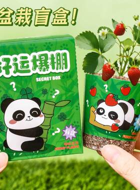 可爱熊猫种植盆栽盲盒桌面植物小