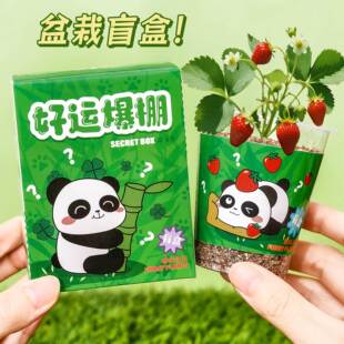 可爱熊猫种植盆栽盲盒桌面植物小摆件幼儿园手工花卉种植小盆栽