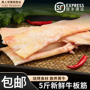 正宗黄牛板筋现宰现取大板筋牛杂生鲜牛肉牛筋烧烤串串香火锅食材