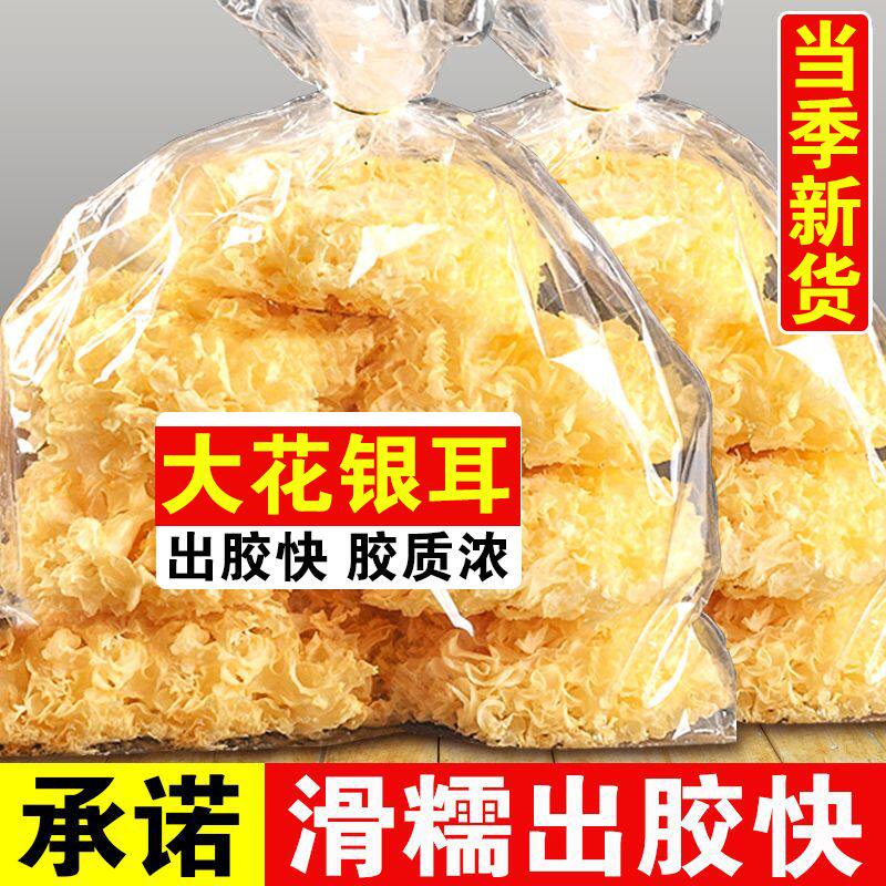 福建古田大花银耳新干货雪耳糯白木耳非特级莲子羹特产煲汤佳品