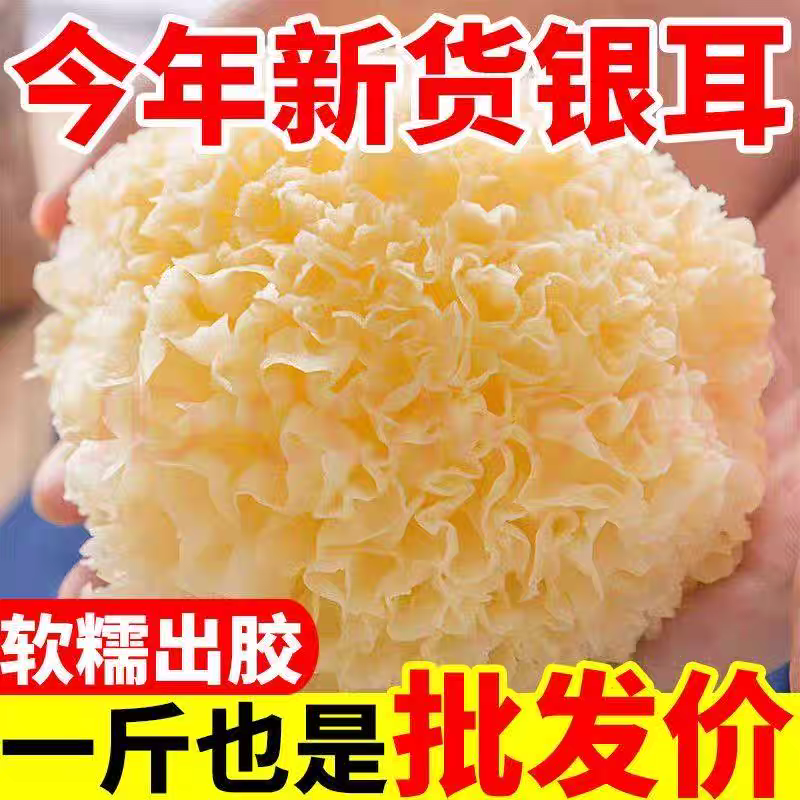 古田特产银耳干货白木耳无硫熏雪耳非丑耳莲子羹软糯出胶多银耳莲