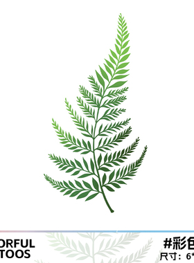 蕨类植物仿真防水遮疤纹身贴