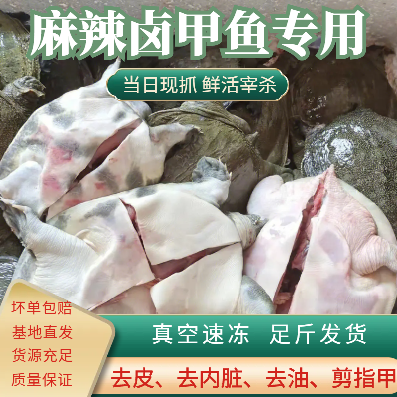 外塘新鲜现杀麻辣小甲鱼卤甲鱼商用半成品食材水鱼团鱼老鳖代杀