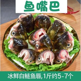 新鲜鱼嘴巴活鱼现杀大头鱼真空鱼唇老街鱼嘴巴花鲢鱼头鲜活4斤装