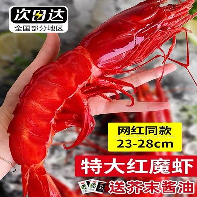 红魔虾超大鲜活刺身级生吃低温甜虾活虾速冻寿司刺身非西班牙海鲜