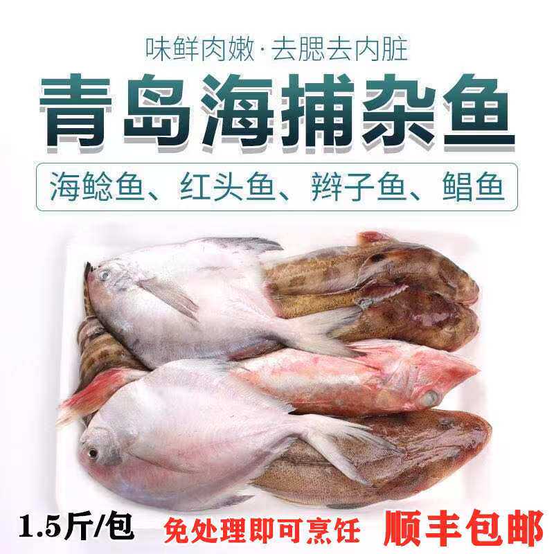 免清理去鳞片去内脏海鱼杂鱼包银鲳鱼红头鱼海鲶鱼鲅鱼深海鱼海鲜