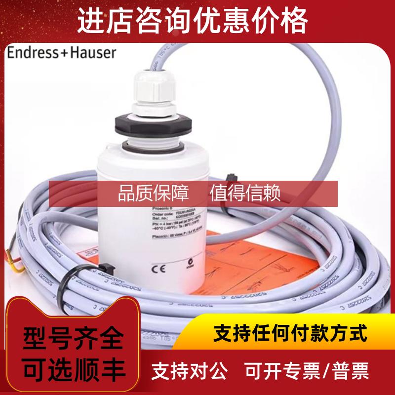 询价E+H FDU91-RG2AA 声波液位计探头 恩德斯豪斯