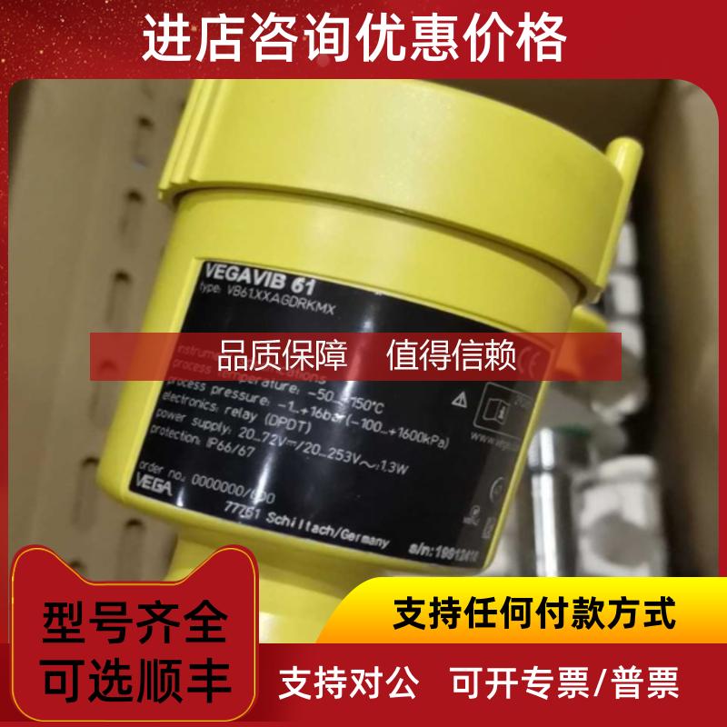 询价VEGAVIB61 VEGA威格 导波雷达液位计VB61.XXAGDRKMX