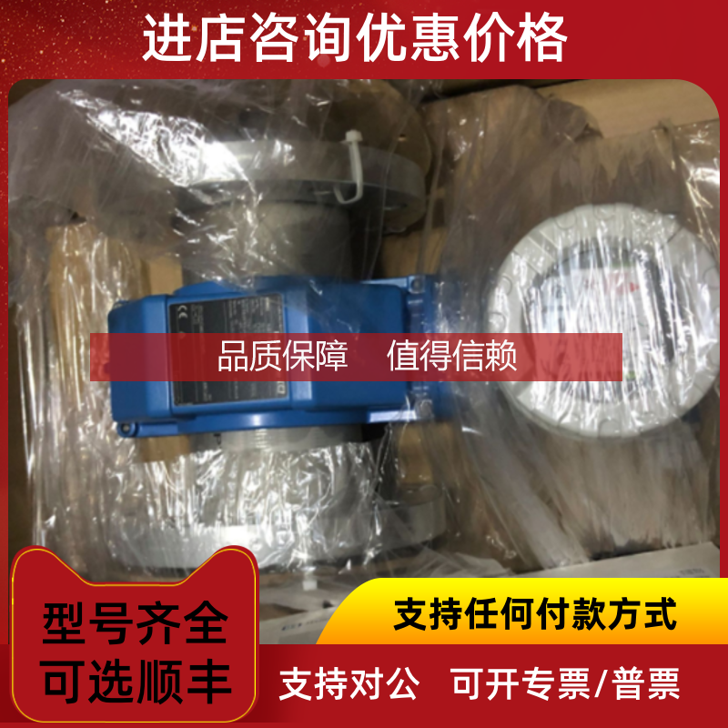 询价E+H电磁流量计5H3B50-MCW2/0  FTL20-0010 FTL20-3425