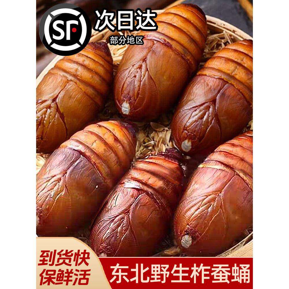 柞蚕东北柞蚕香酥蛹东北鲜活柞蚕蛹大个蚕蛹新鲜活蝉蛹黄蚕蛹大茧