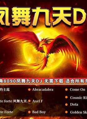 荷东猛士野狼王车载音乐U盘经典的士高舞曲DJ凤舞九天冰河时代MP3