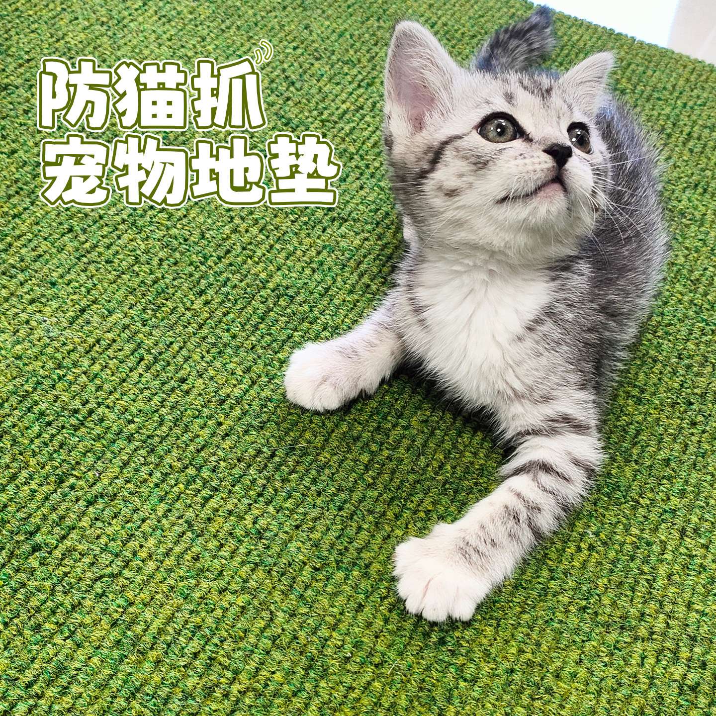貓抓地毯客廳防貓抓寵物貓咪地墊專用防撕咬防水防滑防尿貓抓墊