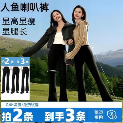 茉寻官鲨鱼裤微喇女秋款